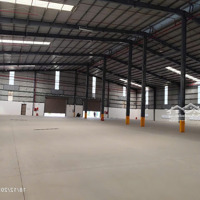 Cho Thuê Kho Tổng Khuôn Viên 6100M2 Giá Tốt Ngay Mặt Tiền Tỉnh Lộ 8, Xã Tân Thạnh Đông, Củ Chi