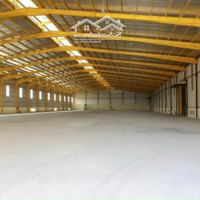 Cho Thuê 10.000M2 Kho Xưởng Thạnh Hóa