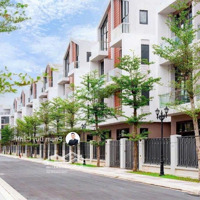 Bán Liền Kề 54M2 Giá Chỉ 7,1 Tỷ Quà Tặng Ngập Tràn, Chính Sách Siêu Tốt Tại Vinhomes Ocean Park3