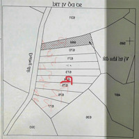 1000M2, Phú Sơn, Bù Đăng, Bình Phước, Sổ Hồng 399 Triệu. Bao Sổ Sang Tên. Giới Thiệu Bông Hồng 5%