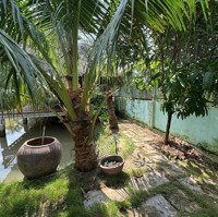 Bán Farm Nghỉ Dưỡng - Đường Lê Văn Lương - Nhơn Đức - Nhà Bè. Diện Tích: 650M2