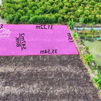 547M2 (15X36) Vườn, Cho Lên Full Thổ, Đường Xe Hơi, Cách Dt816 300M, Bình Đức, Bến Lức