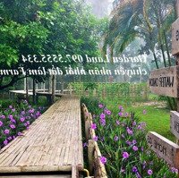 Bán Bđs Nghỉ Dưỡng, Đất Vườn, Đất Farm Tại Tiến Xuân, Thạch Thất Giá Từ 4 Tỷ Đến 50 Tỷ