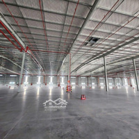 Cho Thuê Xưởng 19.000M2 Và 6000M2.Pháp Lý Tiêu Chuẩn,Trong Khu Công Nghiệp Bàu Bàng ,Bình Dương