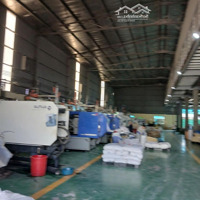 Cho Thuê Kho Xưởng 4000M2 Tân Phú Trung Củ Chi