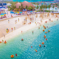 Chính Chủ Cần Bán Liền Kề Cọ Xanh 11, Dự Án Ocean Park 2. Mặt Tiền 5M,Diện Tích62,5M2, Đông Nam