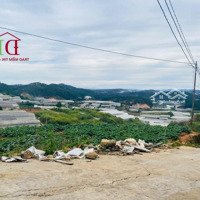 Cuối Năm Bán Gấp Lô Đất Tâm Huyết 270M2 View Thông Không Che Chắn, Gần Trung Tâm Đà Lạt 7 Tỷ Tl