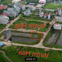 Bán 2 lô đất khu Gò Xoan Thanh vân, Tam dương, Vĩnh phúc