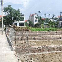 Cc Gửi Bán 2 Lô Đấtdiện Tích100M2 Và 112,8M2 Ở Cổ Dương - Tiên Dương - Đông Anh - Hà Nội