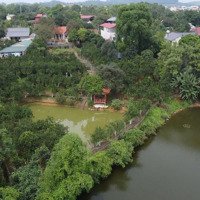 View Hồ Sen Đồng Mô, Hơn 3000 Mét Trong Đó Có 1,117M2 Là Full Thổ Cư.