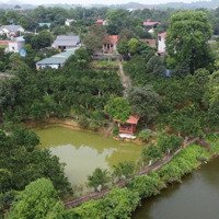 View Hồ Sen Đồng Mô, Hơn 3000 Mét Trong Đó Có 1,117M2 Là Full Thổ Cư.