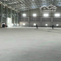 Cho Thuê Kho Xưởng Mới Xây Trong Khu Công Nghiệp Long An 30.000M2