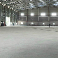 Cho Thuê Kho Xưởng Mới Xây Trong Khu Công Nghiệp Long An 30.000M2