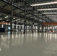 Cho Thuê Kho Xưởng 20000M2 Trong Kcn Xuyên Á, Đức Hòa, Long An