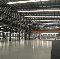 Cho Thuê Kho Xưởng 20000M2 Trong Kcn Xuyên Á, Đức Hòa, Long An