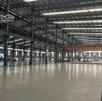 Cho Thuê Kho Xưởng 20000M2 Trong Kcn Xuyên Á, Đức Hòa, Long An