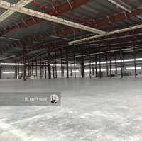 Cho Thuê Kho, Nhà Xưởng Tại Xã Minh Đức, Tứ Kỳ, Giá 86 Nghìn / M2, Dt: 10.000 M2, Có Pccc, Làm Fdi