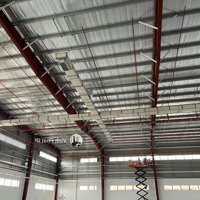 Cho Thuê Kho, Nhà Xưởng Tại Xã Minh Đức, Tứ Kỳ, Giá 86 Nghìn / M2, Dt: 10.000 M2, Có Pccc, Làm Fdi