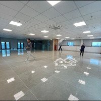 Showroom Vip Phố Trương Địnhdiện Tích450M2X3 Tầngmặt Tiền20M Sàn Thông, Đầy Đủ Điện Nước, Pccc, Vào Làm Luôn