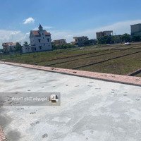 Bán Đất Biển Quất Lâm Giá Bán 1,4 Tỷ Cách Biển Chỉ 30M - Sổ Đỏ Chính Chủ - Sang Tên Ngay