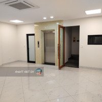 Cho Thuê Bt Mặt Hồ Phương Liệt - Thanh Xuân, 100M2 X 5 Tầng, 3Mt:20M, Có Thang Máy, Mới 100%,...