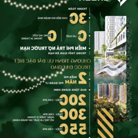 Urban Green Giỏ Hàng Cđt T12/2024, Ck Giảm Tới 14%, Tặng 200- 550 Triệu, Tặng Pql 2 Năm, 30% Nhận Nhà