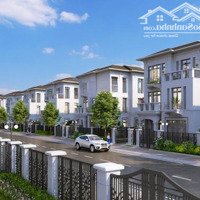 Bán Cc 65M2, 1,6 Tỷ Tại Vinhomes Star City, Lê Lợi, Đông Hải, Thanh Hóa