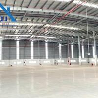 Cho thuê xưởng 23.000m2 trong KCN Phú Mỹ, Bà Rịa - Vũng Tàu