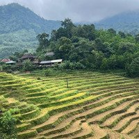 Bán Đất View Đẹp Tại Quý Hoà, Lạc Sơn, Hòa Bình, 1,4 Tỷ, 6090 M2