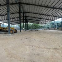 Cho Thuê 6.600M2 Xưởng Mới 100% Ngoài Kcn Bàu Bàng Bình Dương Giấy Tờ Đầy Đủ