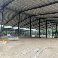 Cho Thuê 6.600M2 Xưởng Mới 100% Ngoài Kcn Bàu Bàng Bình Dương Giấy Tờ Đầy Đủ