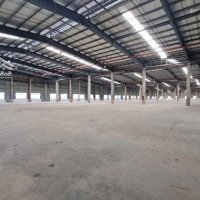 Cho Thuê Kho Xưởng Mới Đẹp - Kcn Tân An, Long An, Xưởng: 4.000M2 7.000M2, Tổng Diện Tích: 10.000M2