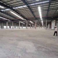 Cho Thuê Kho Xưởng Mới Đẹp - Kcn Tân An, Long An, Xưởng: 4.000M2 7.000M2, Tổng Diện Tích: 10.000M2