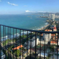 Hàng Cực Hiếm. Cặp Căn Liền Kề Toà Bắc Gold Coast View Biển Tầng Cao Cực Đẹp