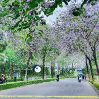 Căn Hộ Cho Thuê 1Pn-2Pn- 3 Phòng Ngủgiá Tốt Nhất Thị Trường Cam Kết Không Báo Ảo Báo Chênh Sunshine City