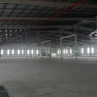 Cho Thuê Kho Xưởng Đẳng Cấp - Bến Lức, Long An, Khuôn Viên: 19.000M2, Xưởng: 12.000M2, Pccc Tự Động