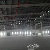 Cho Thuê Kho Xưởng Đẳng Cấp - Bến Lức, Long An, Khuôn Viên: 19.000M2, Xưởng: 12.000M2, Pccc Tự Động