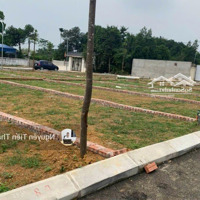 Bán Đất Rẻ Nhất Khu Vực Do Cần Tiền Trả Nợ Cho Chồng - Giá Bán 1,3 Tỷ- Sổ Đỏ Chính Chủ