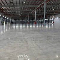 Cho Thuê Xưỡng Sống Thần Dĩ An, Bình Dương, 120 Triệu, 1500 M2