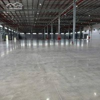 Cho Thuê Xưỡng Sống Thần Dĩ An, Bình Dương, 120 Triệu, 1500 M2