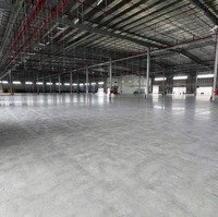 Cho Thuê Xưỡng Sống Thần Dĩ An, Bình Dương, 120 Triệu, 1500 M2