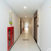 Căn Hộ Beverly 1 Phòng Ngủ 55,1M2, 2,99 Tỷ, Tặng Xe Vf3, Học Bổng Vinschool, Nội Thất 300 Triệuđ