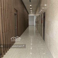 Bán Căn Hộ Office Ascent Lakeside Quận 7,Diện Tích45M2, 50M2, View Công Viên Và Hồ, Giá Bán 2.993 Tỷ