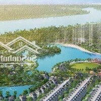 Tháng 12 Mua Nhà Vinhomes Tặng Xe Vin Fast Vf3