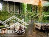 Cho Thuê Nhà Mặt Phố Tô Hiệu, Diện Tích : 200M2, Mặt Tiền: 5M, Giá Thuê : 60 Triệu Mọi Mô Hình