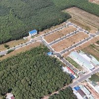 Diện Tích: 42M2 - 61,9M2 - 153,3M2 Ngân Hàng Hỗ Trợ Vay: 70 - 80%