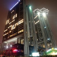 Bán Căn Hộ Chung Cư Tại Dolphin Plaza, 54 Triệu / M2, 133 M2, 2 Phòng Ngủ 3 Vệ Sinh Hướng Nam