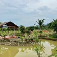 Bán 3 Lô Đất Sẵn Sầu Và Bưởi Gần Suối To Đẹp Kế Bên Chủ Đã Làm Homestay Giá Chỉ 3Xxtr