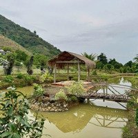 Bán 3 Lô Đất Sẵn Sầu Và Bưởi Gần Suối To Đẹp Kế Bên Chủ Đã Làm Homestay Giá Chỉ 3Xxtr