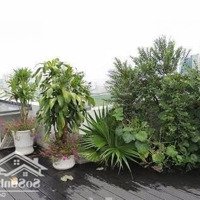 Hiếm!!! Bán Chung Cư 125 M2 Trong Đó 30M2 Sân Vườn,3 Pn Tòa Viện Chiến Lược,Số 5 Tú Mỡ,Nguyễn Chánh